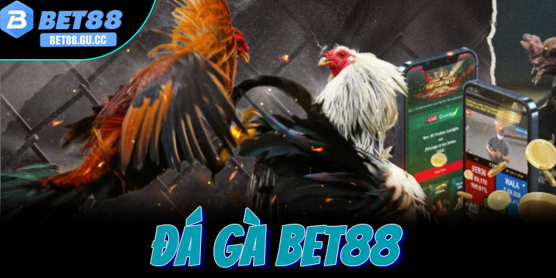 Giới thiệu sảnh đá gà trực tuyến Bet88